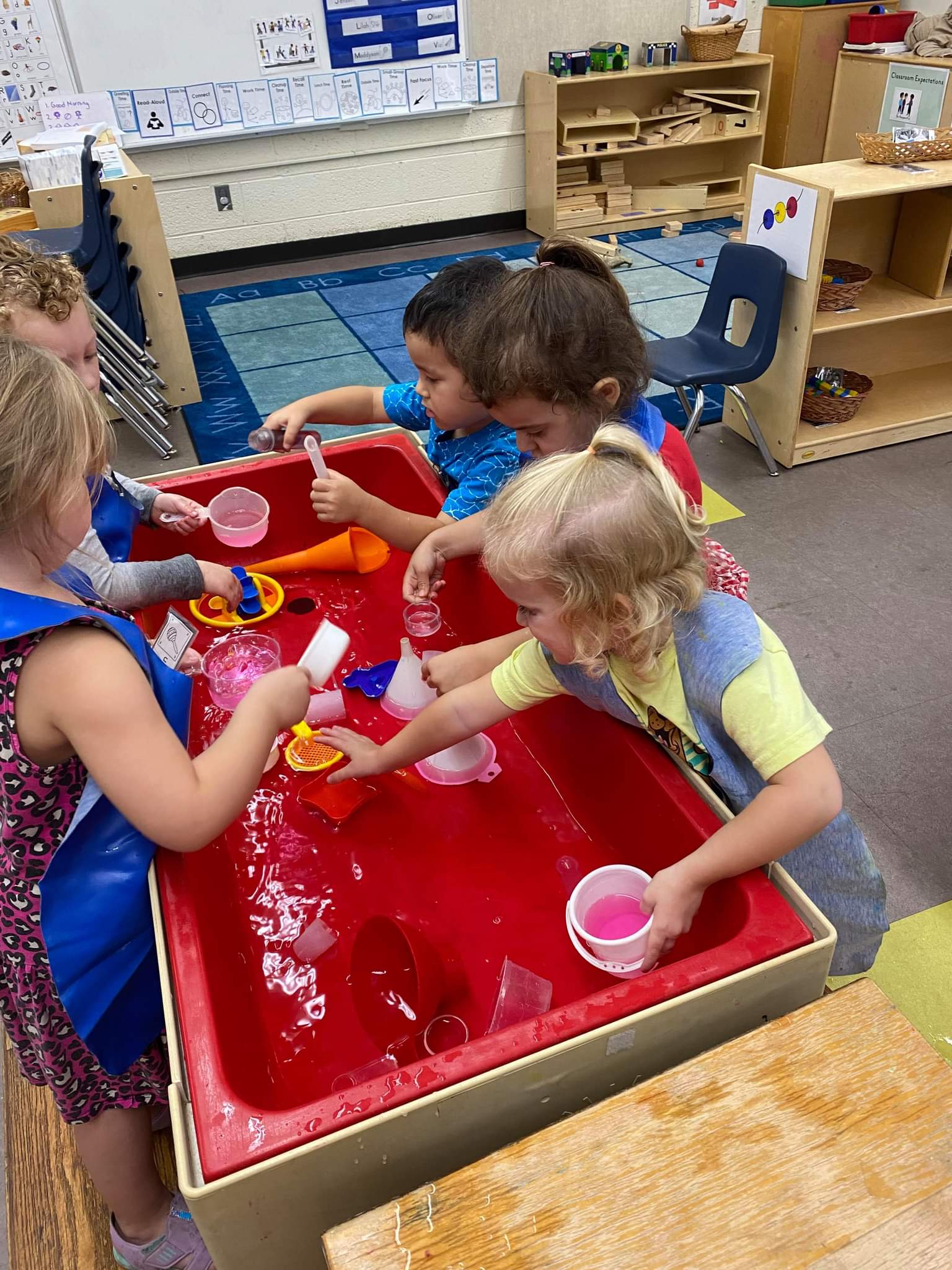 Exploration and teamwork at the water table
