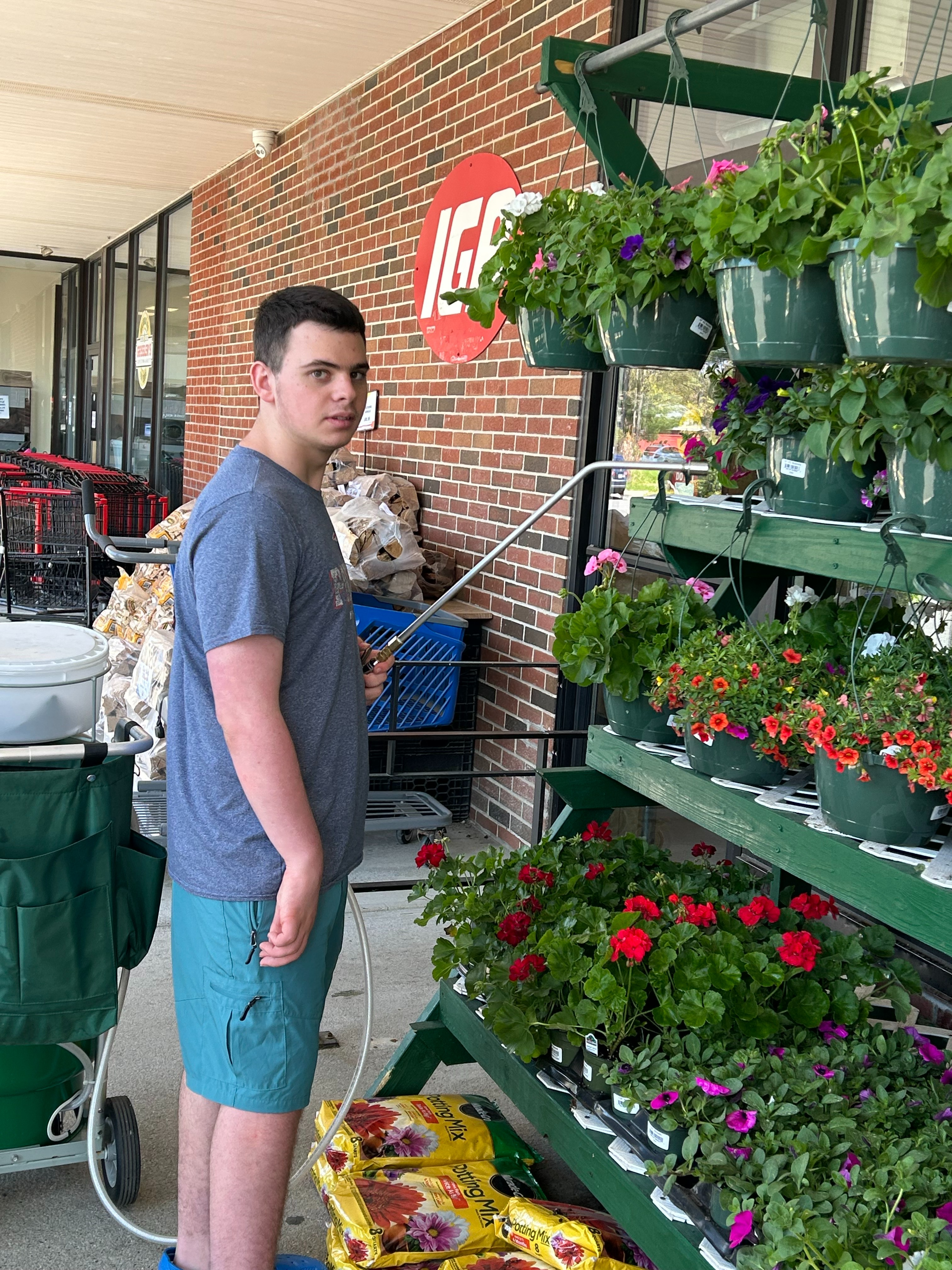 Voc class - watering plants