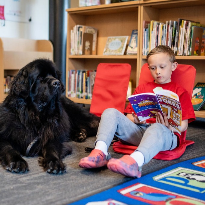 Read to Rover Boy reading with Dog