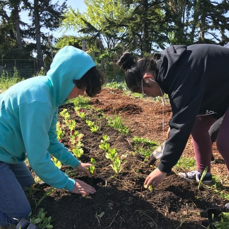 Students Planting in the garden