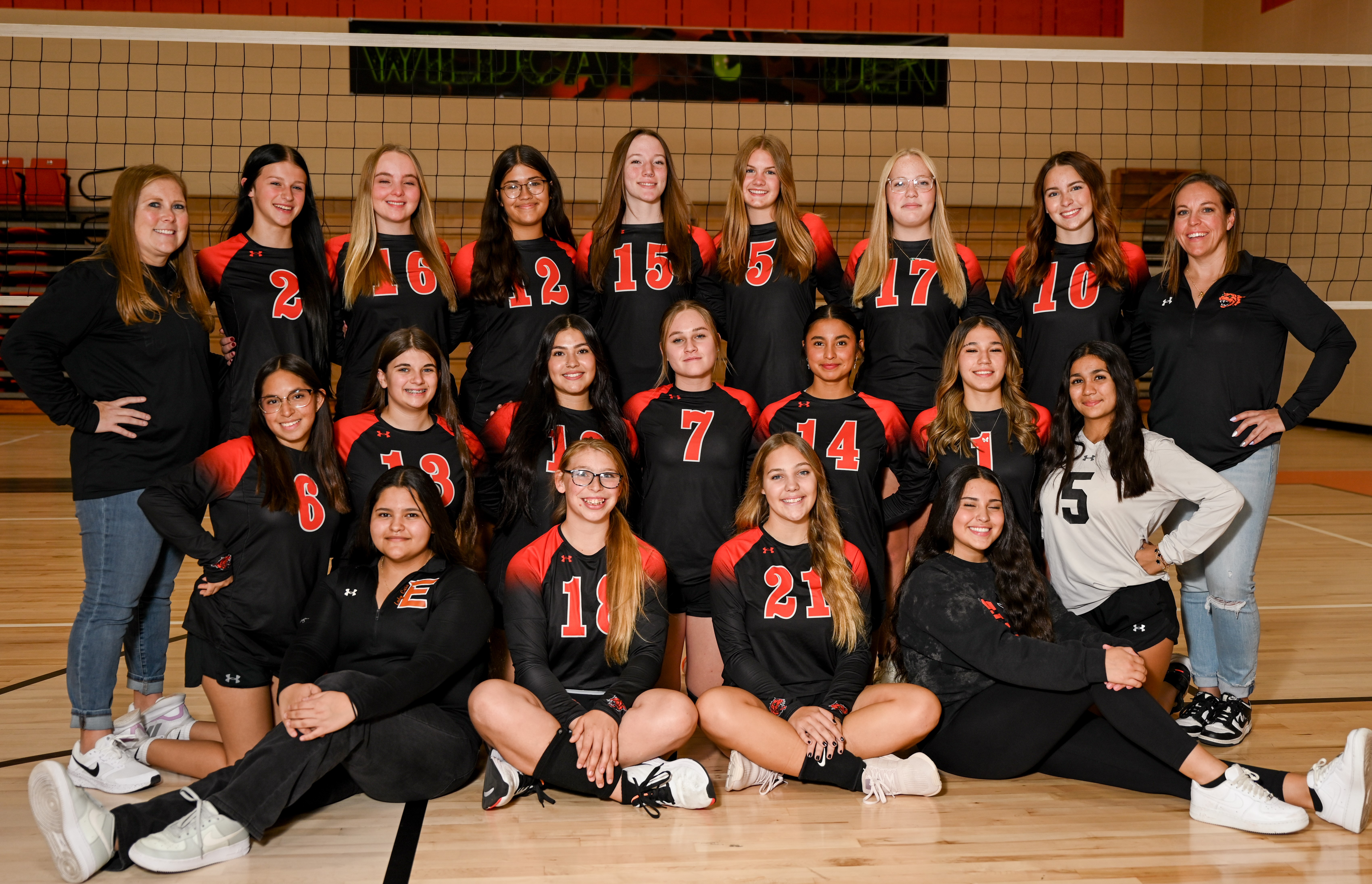 EHS V