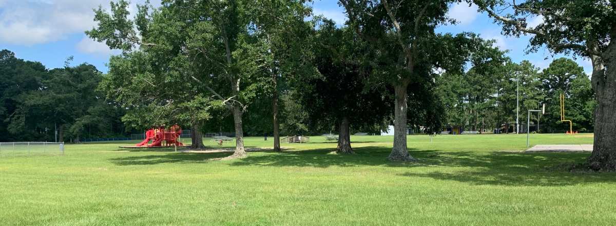 outdoor photos of Newport Elementary School