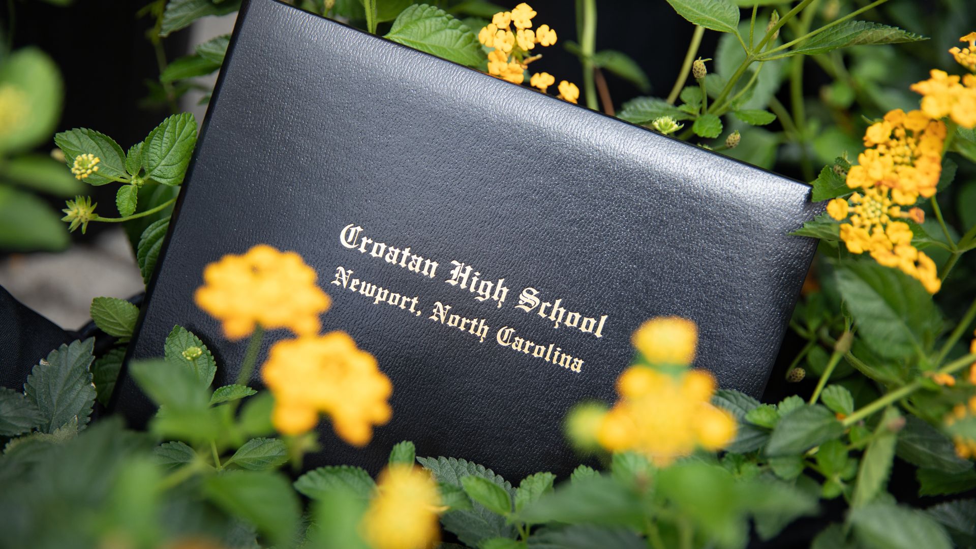 CHS Diploma