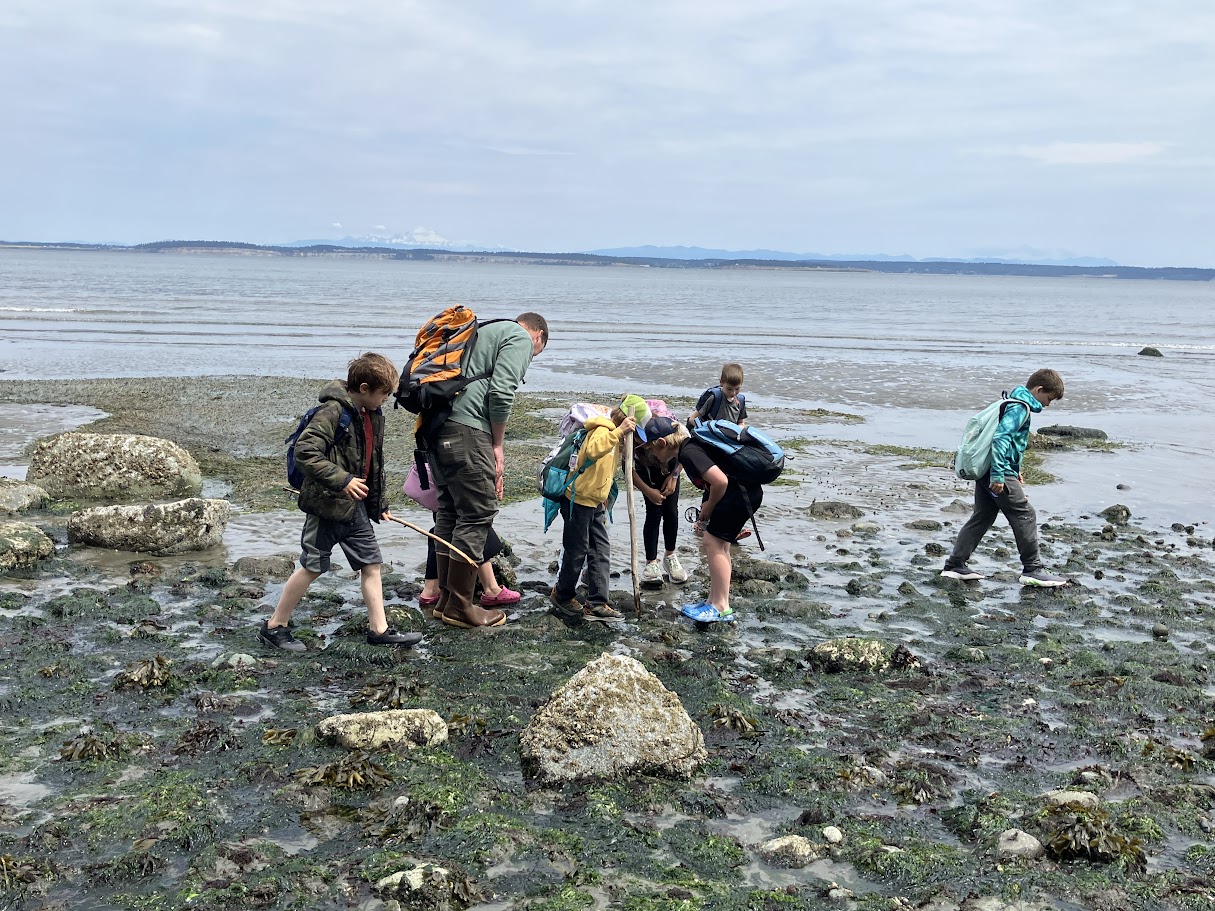 beach walk with student learning