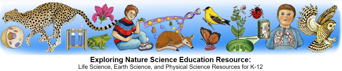 Exploring Nature Science Education Resource: Life Science, Earth Science, and Physical Science Resources for K-12