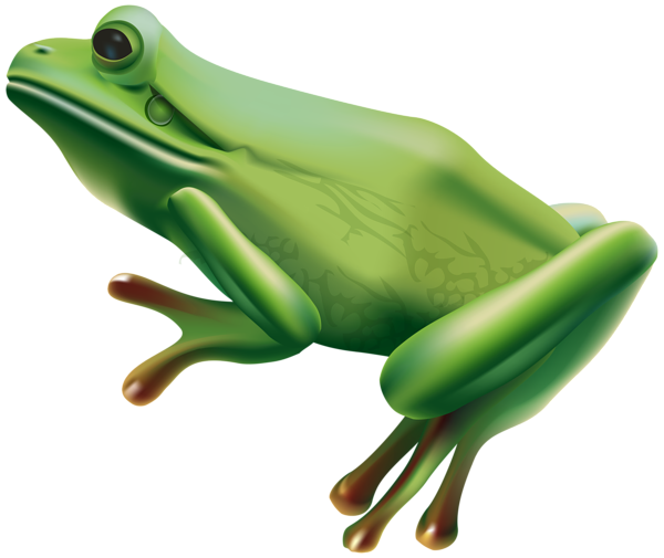 A clipart image of a tree frog