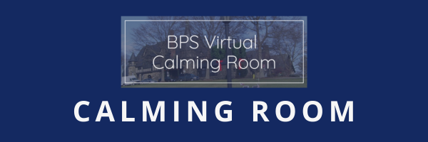 Virtual Calming Room
