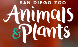 Animals & Plants