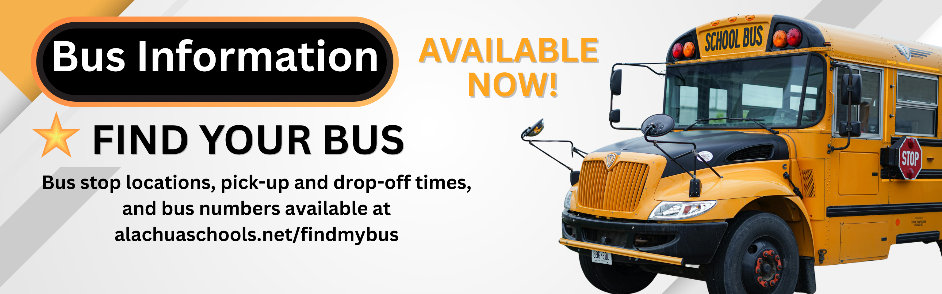 Bus info graphic