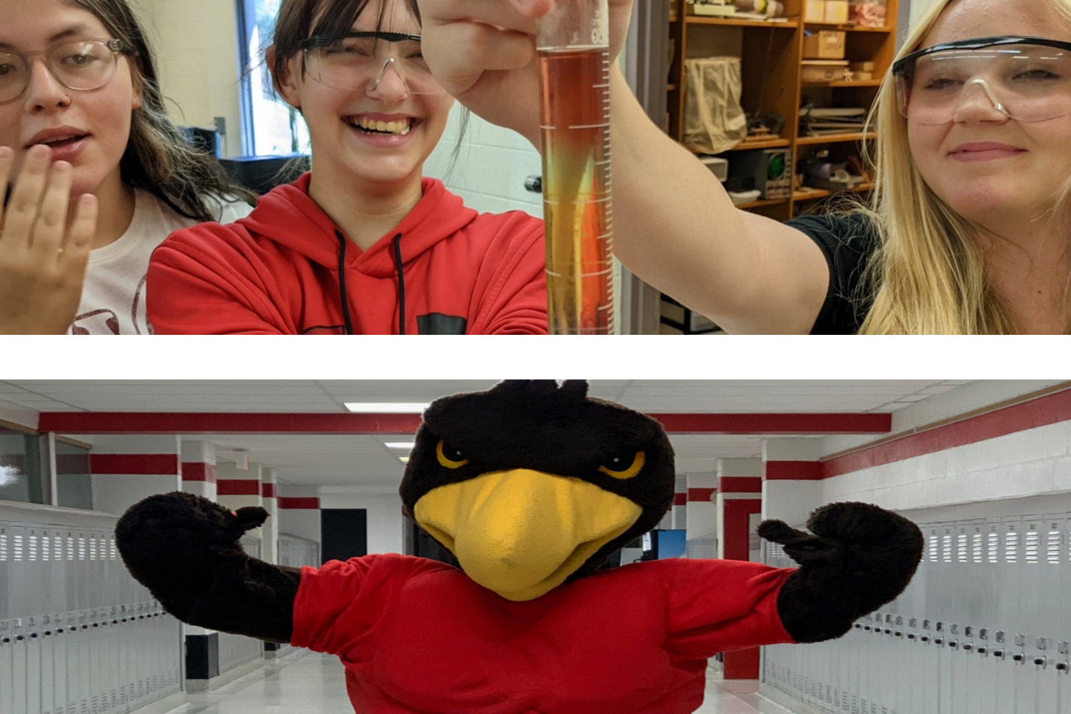 Vandercook Lake Middle / High School images