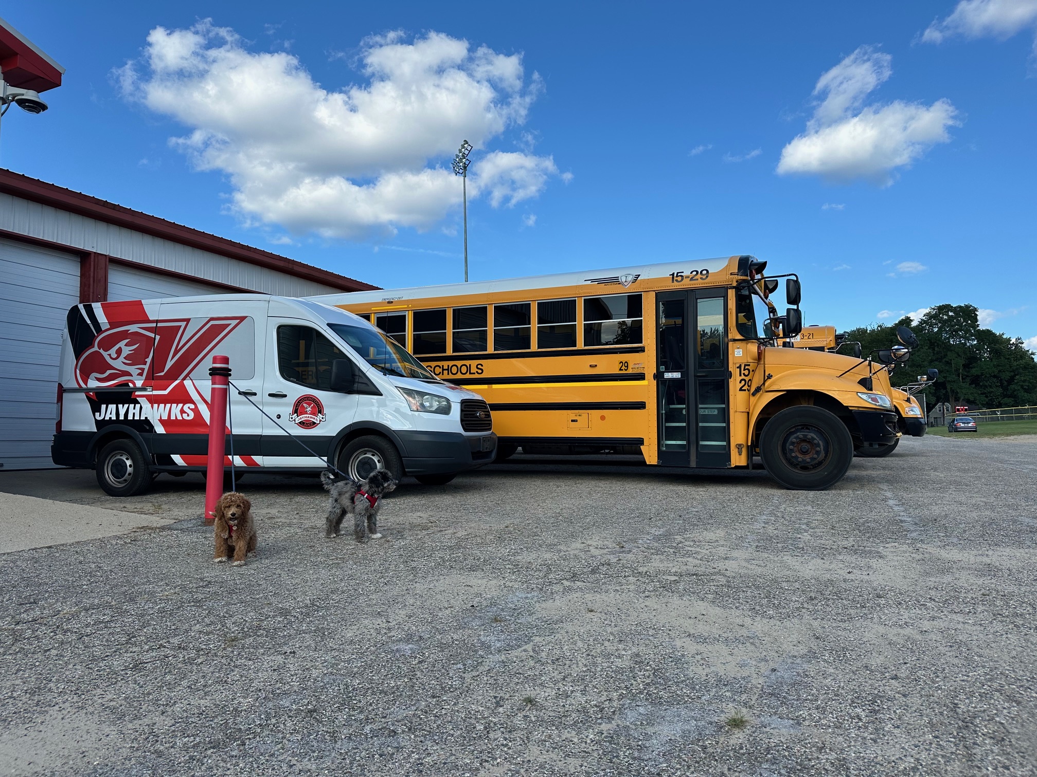 bus and van