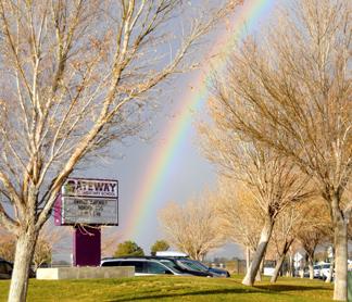 A vibrant rainbow arcs over a parking lot surrounded by lush green trees.