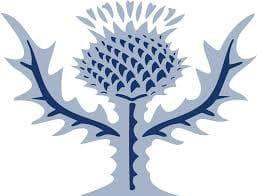 A stylized illustration of a thistle, the national flower of Scotland. The thistle has a spiky, bulbous flower head, prominent spiky leaves, and a sturdy stem. The illustration uses a muted indigo color palette for a vintage or heraldic feel.