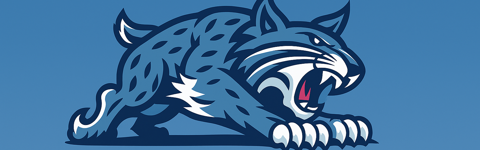 Image of the HDS Bobcat