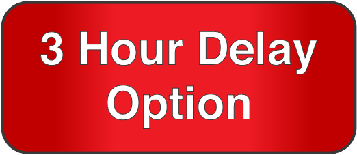 3 hour delay option