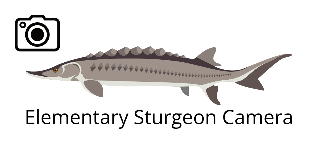 Sturgeon Camera