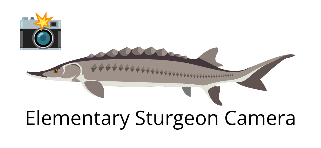 Elementary Sturgeon Camera