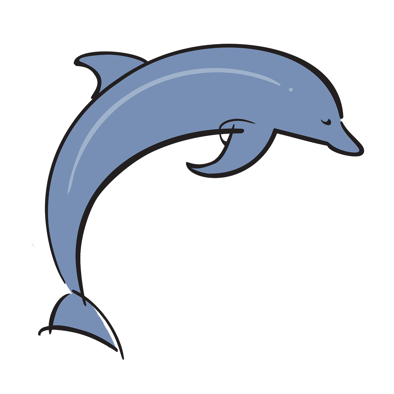 Lake Forest Dolphins