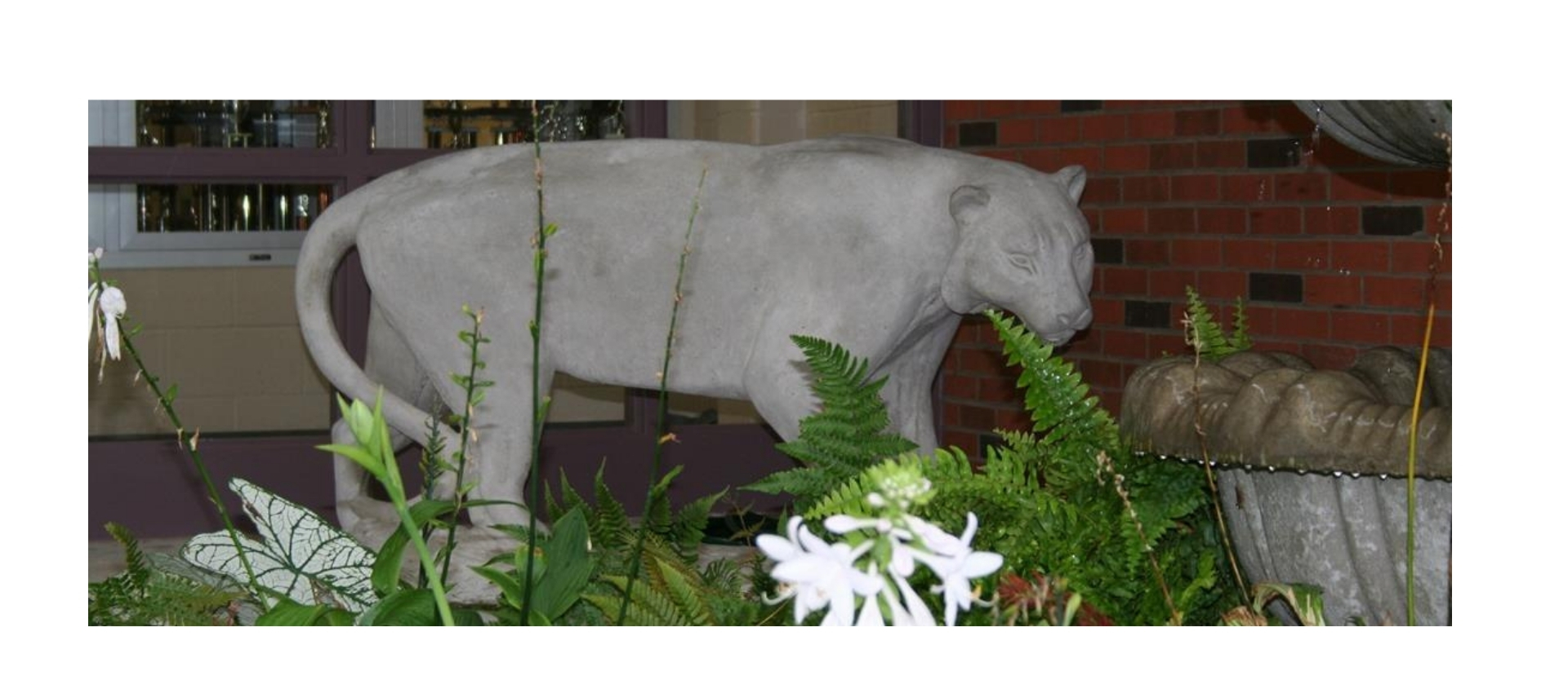 Concrete statue of a Cougar
