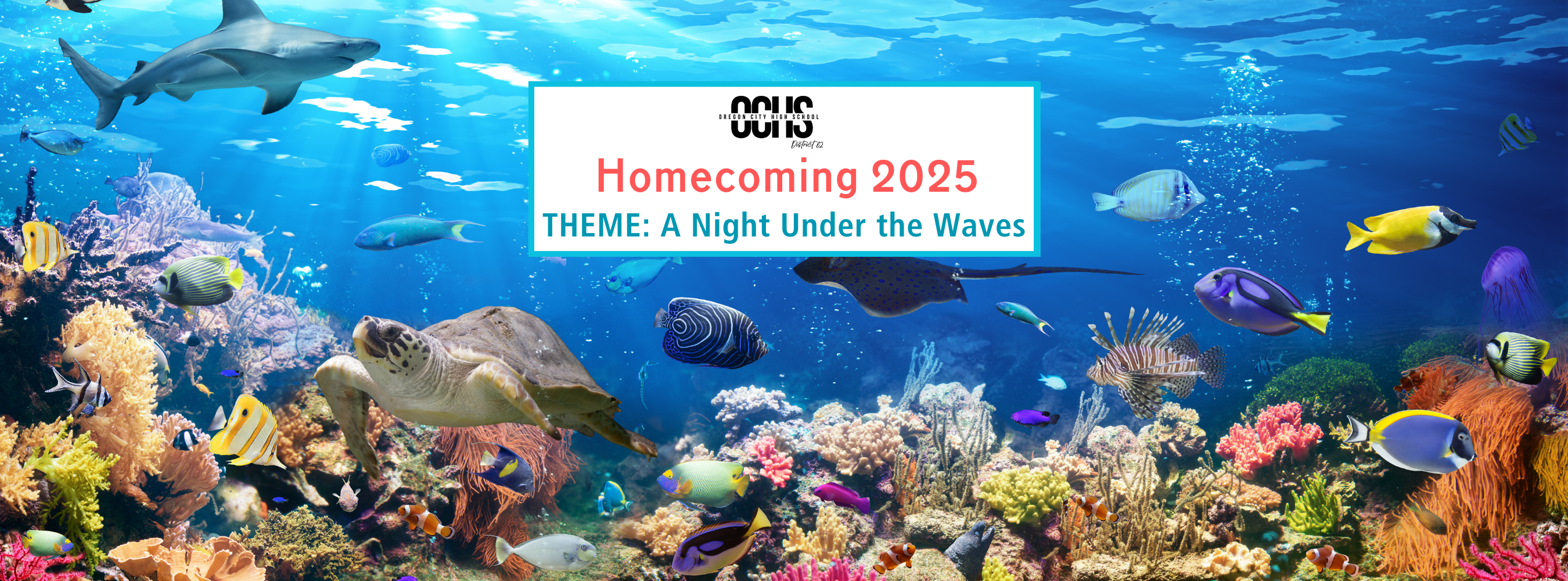 homecoming 2025 banner