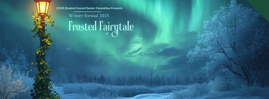 winter formal banner