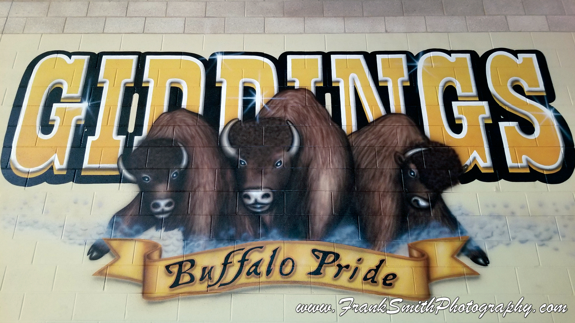 Buffalo Pride