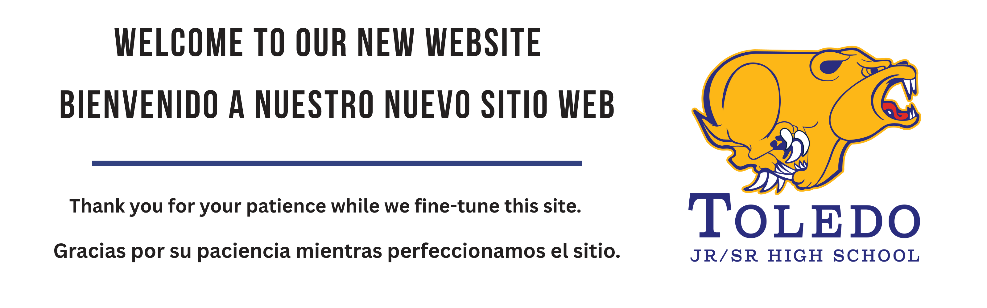 Welcome to our new website graphic
