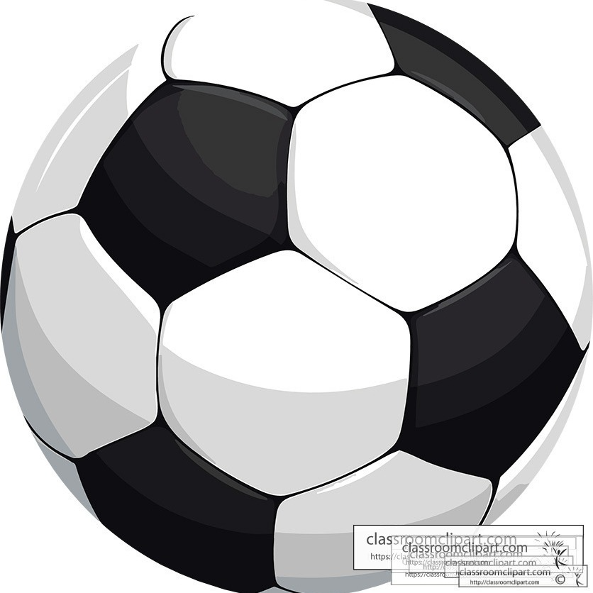 Black and White soccer ball