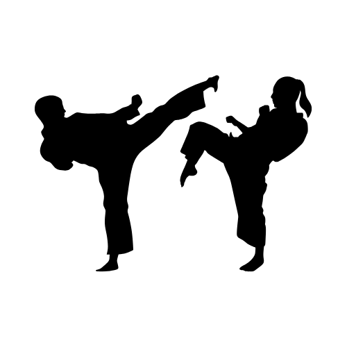 Brazilian Jiu Jitsu