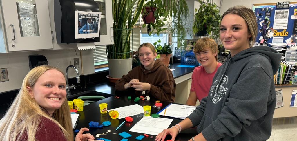 Students working with each other in school