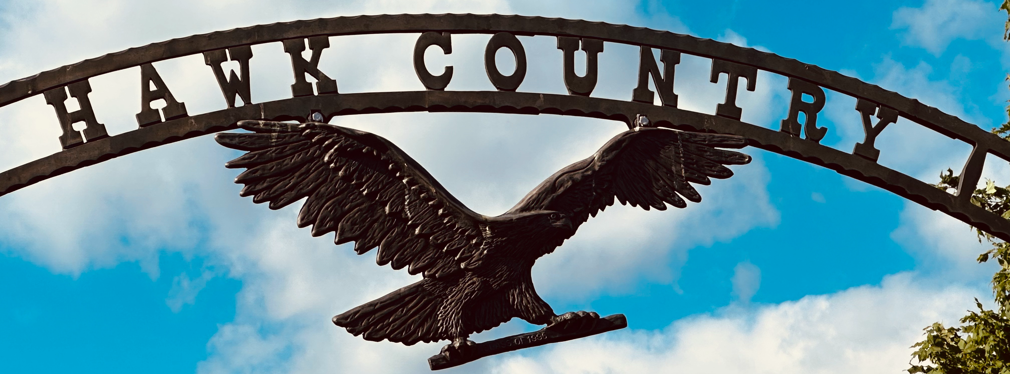 Metalic Hawk Country sign with Hawk standing on a branch.