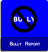 Bully Report
