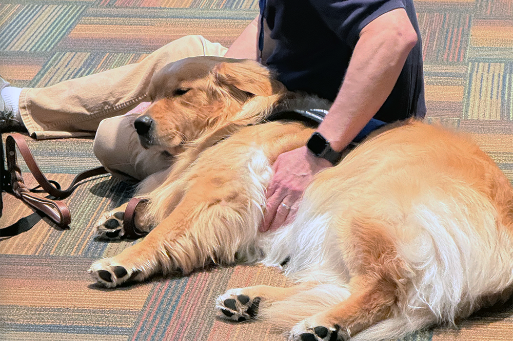 Clark-Pleasant Community Schools Indiana