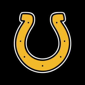new gold horseshoe with black background