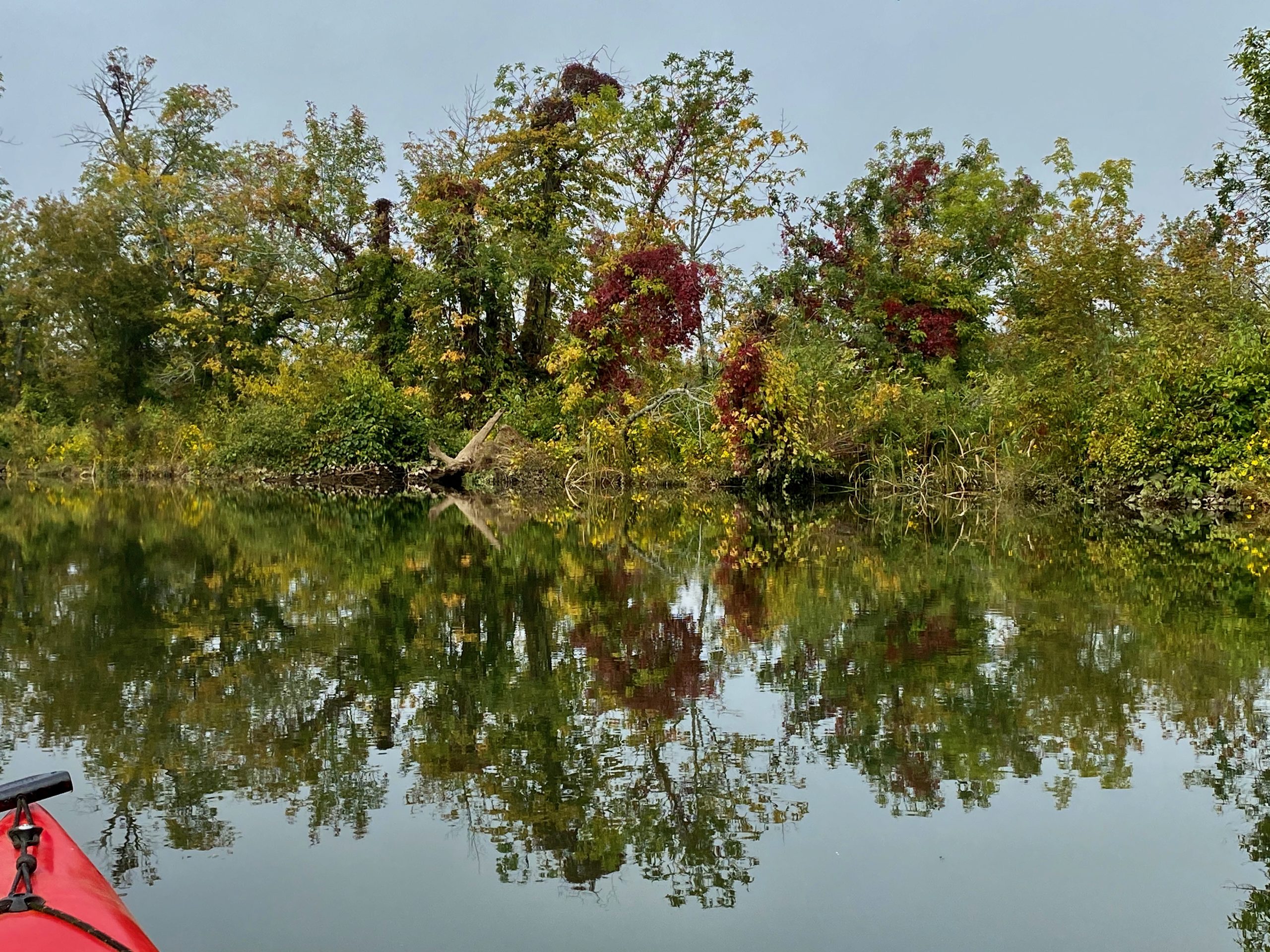 A calm river reflecting trees with green and red leaves under a clear sky.