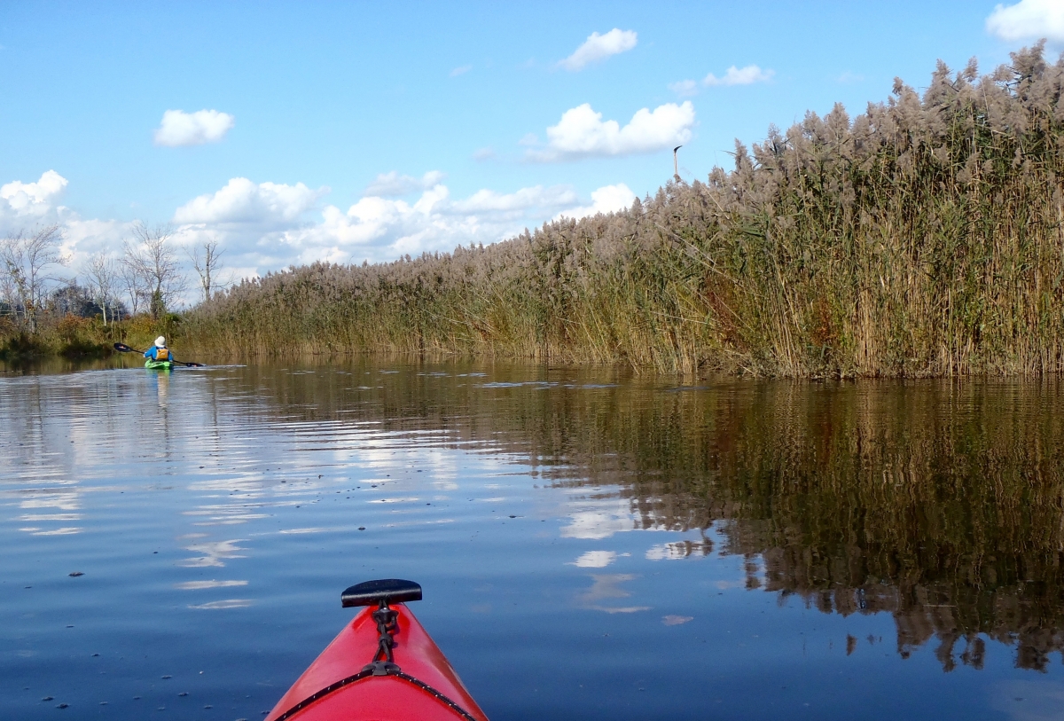 A person kayaking on a calm river with tall reeds on the right and a partly cloudy sky overhead.