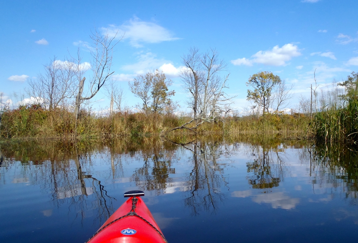 A kayak is on calm water near a marsh with leafless trees and a partly cloudy sky.
