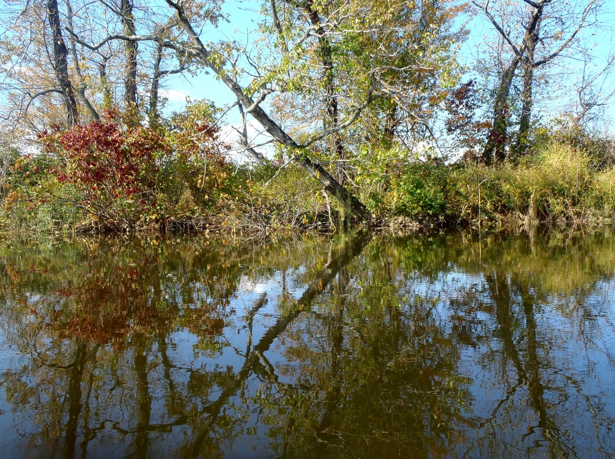 A calm river reflects trees with autumn foliage and a clear blue sky.