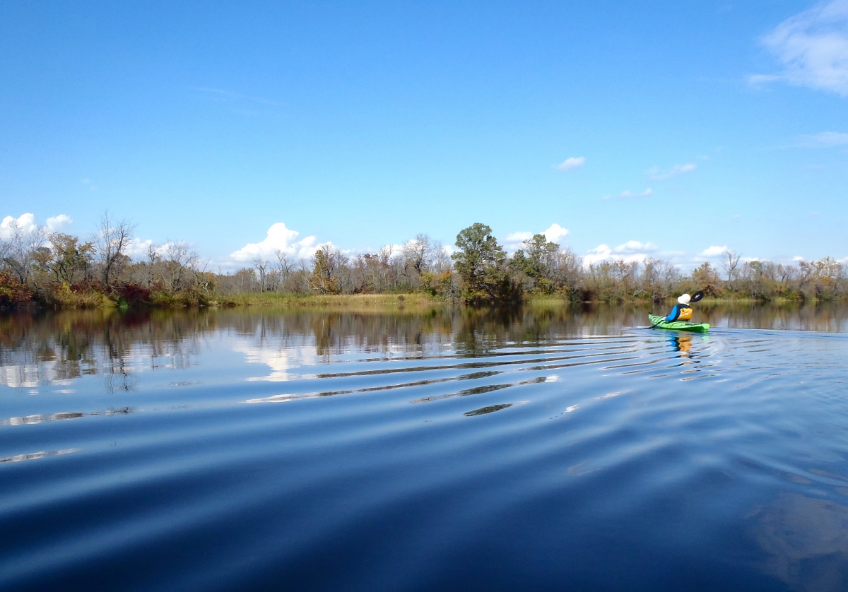 A person kayaking on a calm river with trees and a blue sky in the background.