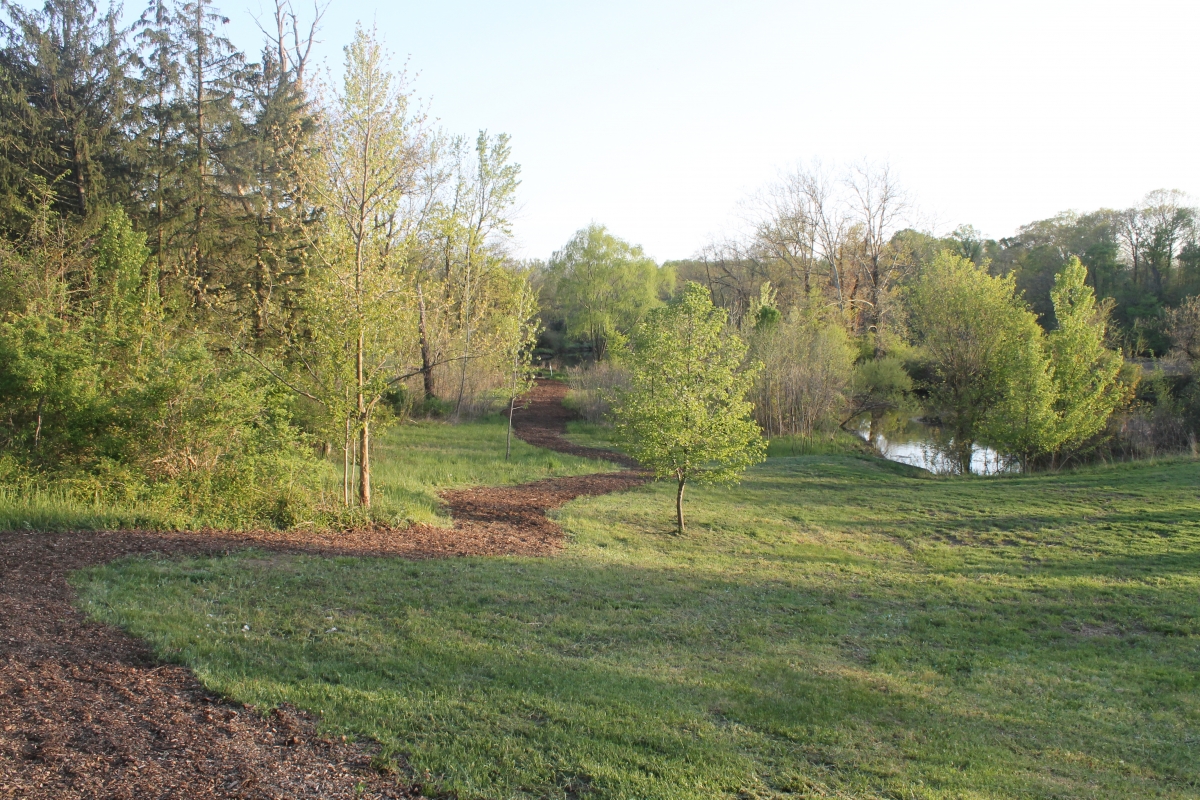 A grassy park with a winding dirt path, trees with fresh green leaves, and a small pond in the background.