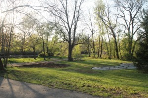 A park with leafless trees, green grass, and a small pond, illuminated by sunlight, with a dirt path in the foreground.