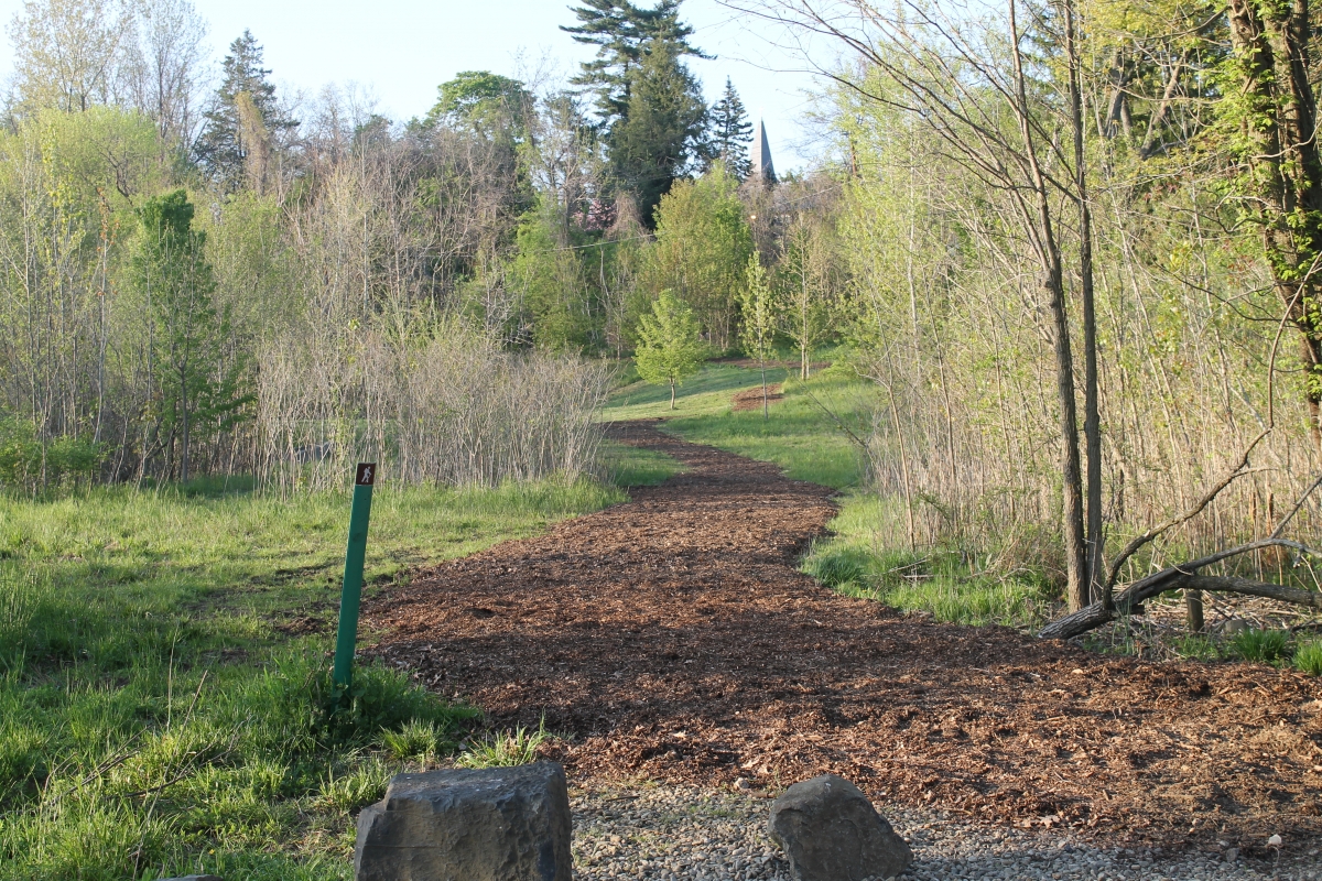 A dirt trail winds through a green, wooded area with trees and shrubs on either side, leading into the distance.