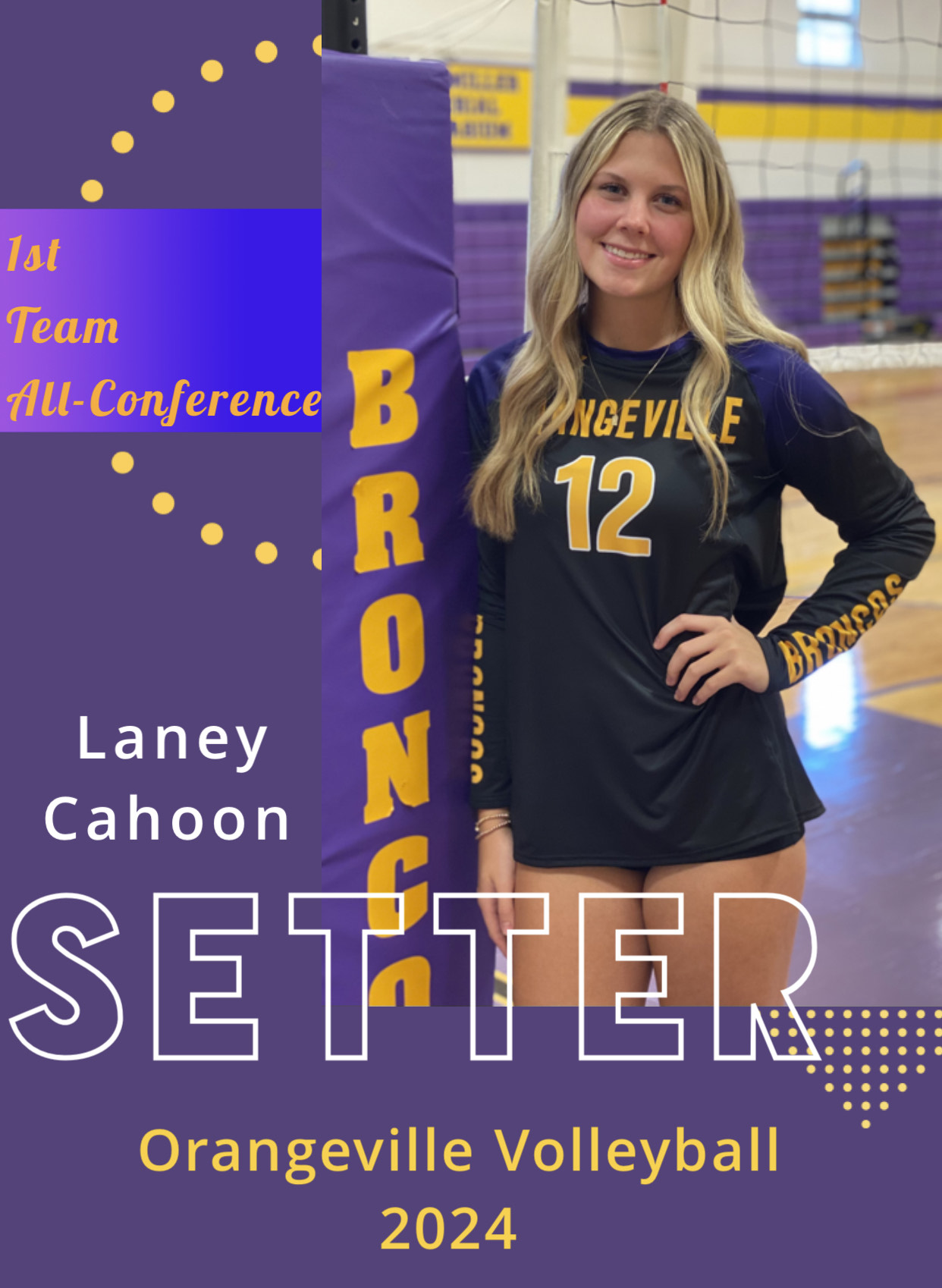 All Conference VB Laney