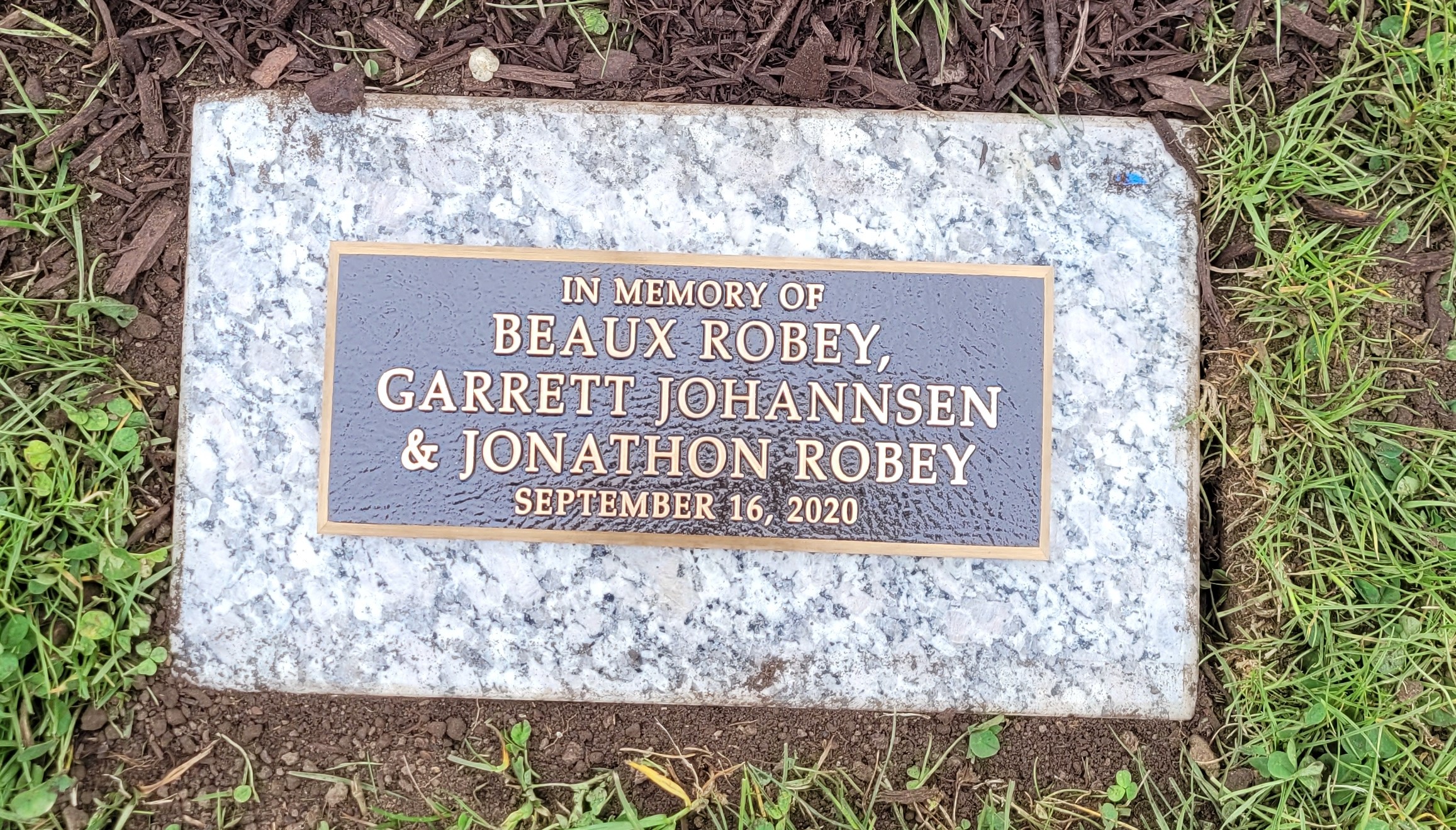 memorial plaque by tree