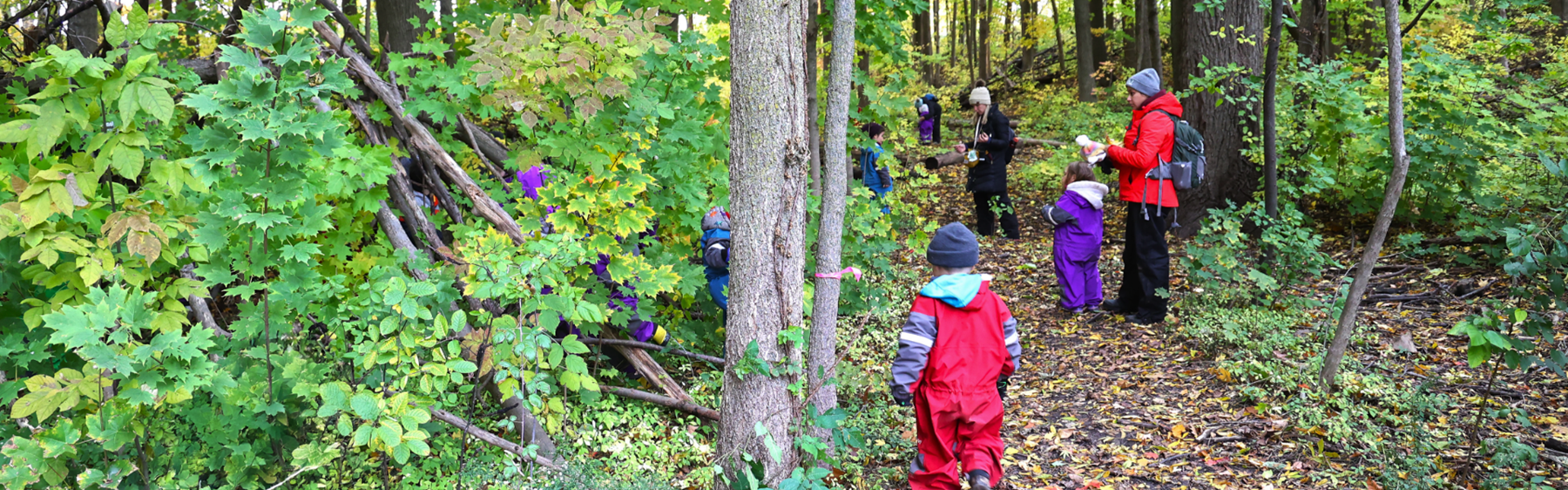 wilderness students outside learning in the forest