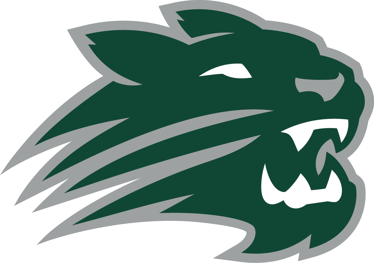 Wildcat Head Logo