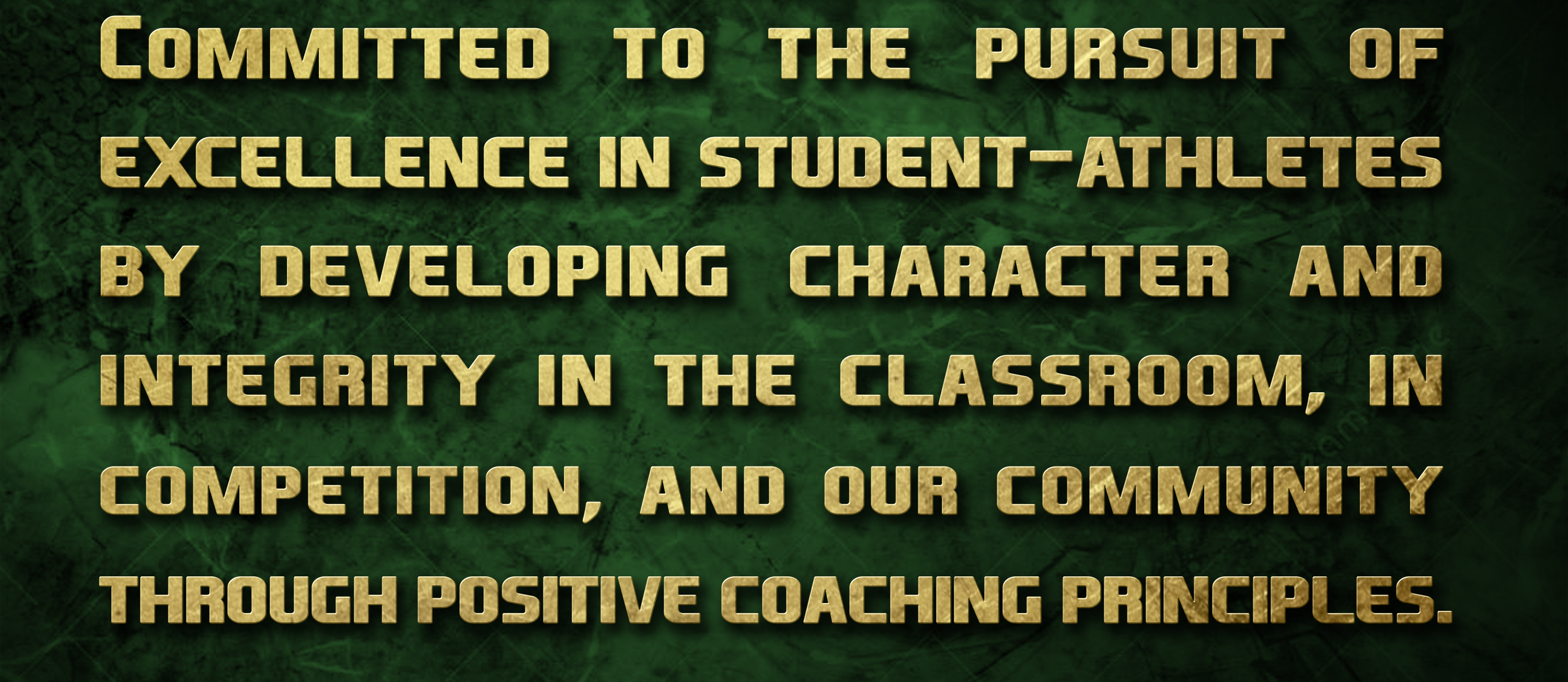 FZN Mission Statement