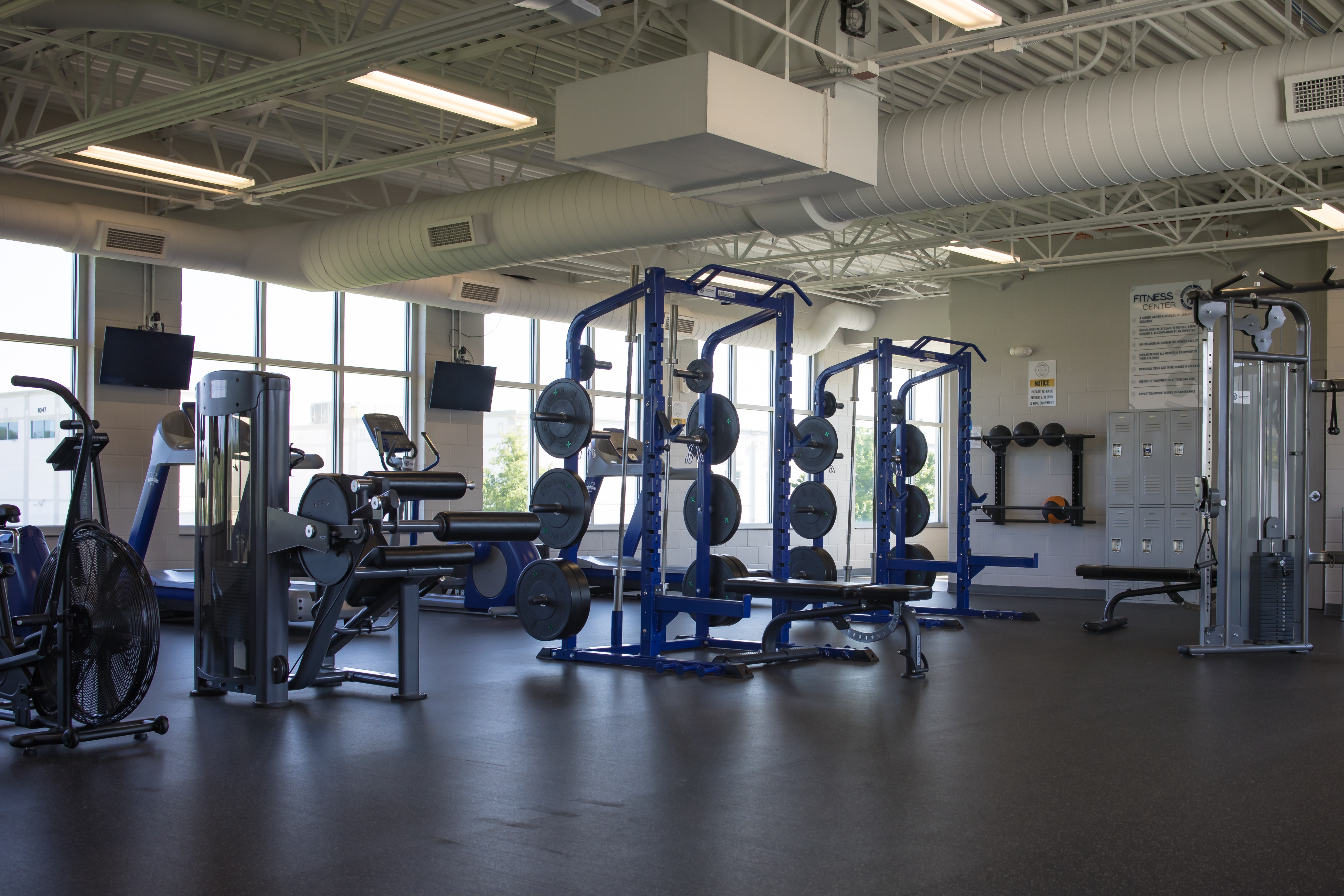 wellness program