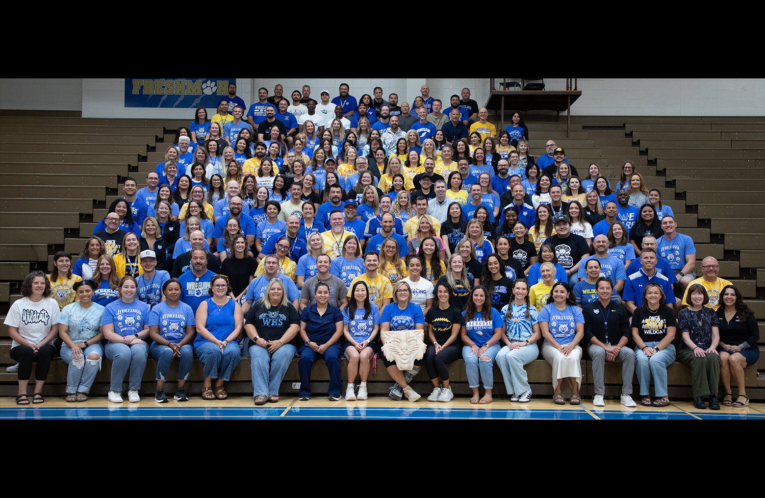 All Staff