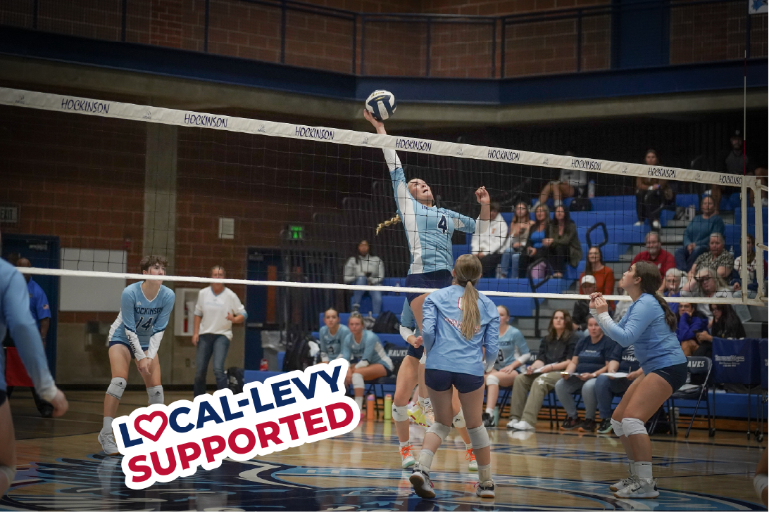 Volleyball athletes hit ball over the net
